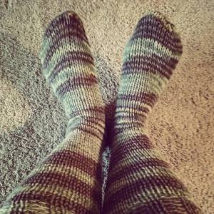 Knit socks: Timeless Treasure Trove