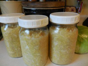 Homemade Sauerkraut: Timeless Treasure Trove 